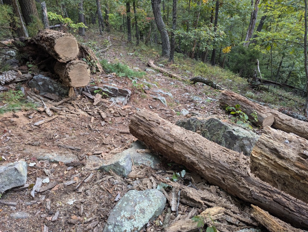 After trees are cleared. 