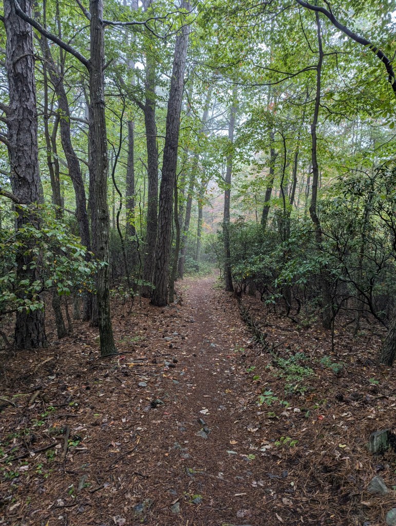 Grindstone course on Timber Ridge.